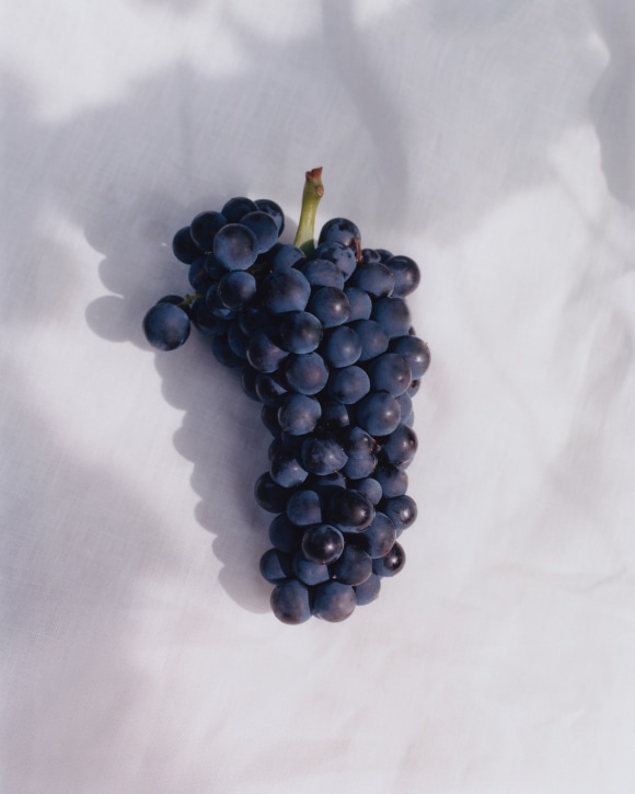 Image without a name Image without a name